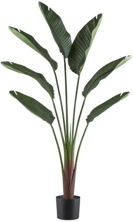 Schubiger M&ouml;bel Kunstpflanzen Ravenala Palme im Kunststofftopf H: 150 cm