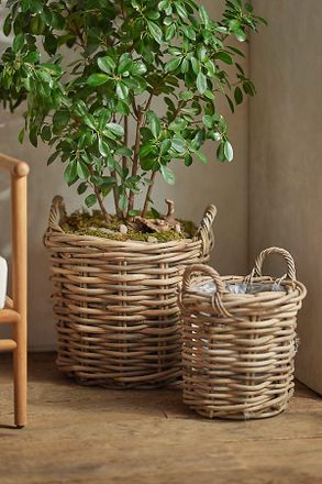 Terrain Rattan Cylinder Basket Planter