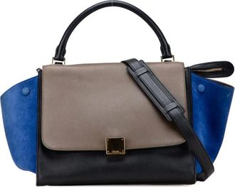 Celine Pre-owned Handbags, female, Multicolor, Size: ONE SIZE Pre-owned Leather Top Handle Bag