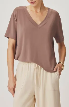 Splendid Kacey V-Neck Short Sleeve T-Shirt in Wicker Beige at Nordstrom, Size X-Small