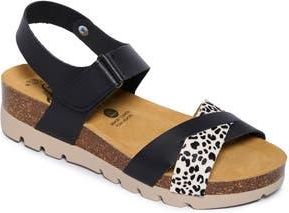 Plakton Camellia Sandal in Pelo Pony Vaquetilla Print at Nordstrom Rack, Size 10Us / 41Eu