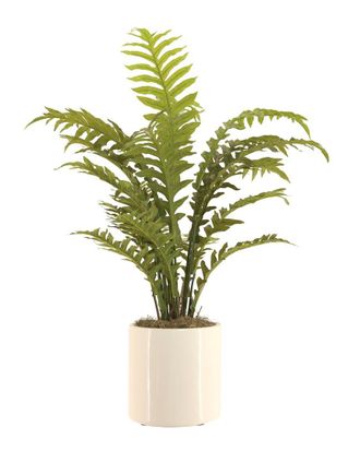 Creative Displays Inc. Green Fern Arrangement