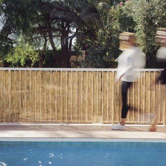 Nortene Ca&ntilde;izo Entero Natural Excelcane Nortene 1x5 M