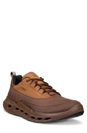 Ecco Biom 720 Low Top Waterproof Sneaker in Cocoa Brown at Nordstrom, Size 12-12.5Us