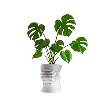 Jonathan Y Designs Brent MidCentury Modern Indoor Crushed Can Eco-Friendly 3D Printed Planter with Drainage