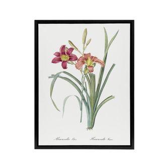 Artery8 Orange Daylily Floral Redoute Vintage Black Framed Canvas Wall Art in White | Size: W24 x H32