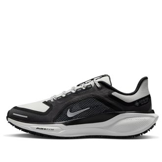 Nike (WMNS) Nike Air Zoom Pegasus 41 Gore-Tex Black Summit White FQ1357-002