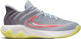 Nike Giannis Immortality 4 Wolf Grey / Metallic Silver FQ3680-009 Mens