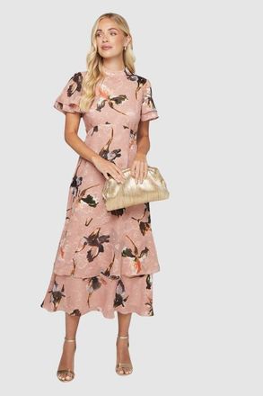 Wallis Petite Floral Burn Out Ruffle Midi Dress in Blush at Nordstrom, Size 14