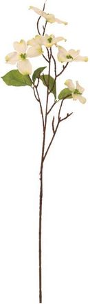 Mark Roberts Dogwood Spray, Set of 12 in Light Pink at Nordstrom