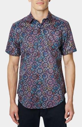 Robert Graham Large Circle Print Button-Up Shirt in Multi at Nordstrom Rack, Size Xx-Large