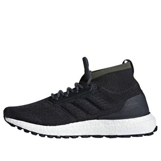 adidas UltraBoost All Terrain Carbon CM8256