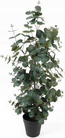 Present Time Atmosphera Planta Artificial De Eucalipto Verde 78 Cm