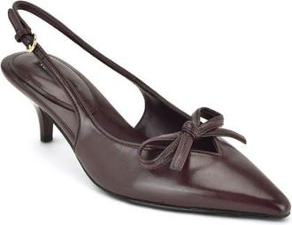 Nine West Lyrical Slingback Pointed Toe Kitten Heel Pump in Dark Red at Nordstrom, Size 10.5