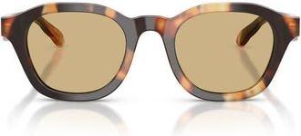 Tory Burch 48mm Phantos Sunglasses in Contrast Tortoise /Yellow at Nordstrom