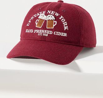 Coney Island Picnic Fall Icon Baseball Cap