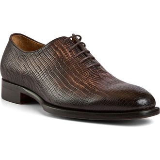 Bruno Magli Treviso Oxford in Brown Viper at Nordstrom, Size 10.5
