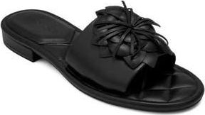Aerosoles Begonia Sandal in Black at Nordstrom Rack, Size 5.5