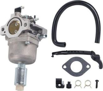 OEM Carburador 697141 Para 794572 791858 791888 792358 793224 697190