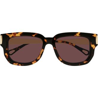 Chlo&eacute; 54mm Rectangular Sunglasses in Havana at Nordstrom