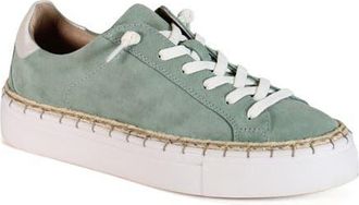 Diba EM BELISH Metallic Leather Lace Up Sneaker in Mint/white at Nordstrom, Size 7.5
