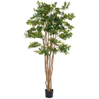 Wanderlust Deco Planta Banyan Decorativa Artificial En Maceta 40x30x180h Cm