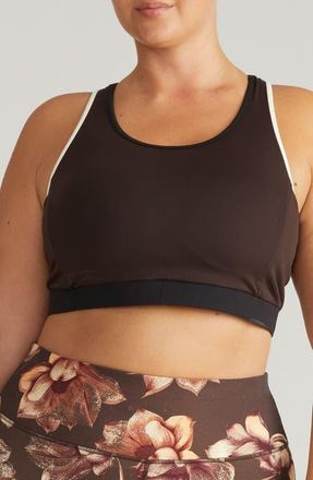 Universal Standard Racerback Sports Bra in Darkest Brown/Dove Wing at Nordstrom, Size Xl