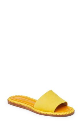 Lafayette 148 New York Slide Sandal in Golden Yellow at Nordstrom, Size 7Us