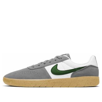 Nike Team Classic SB Particle Grey Forest Green AH3360-016