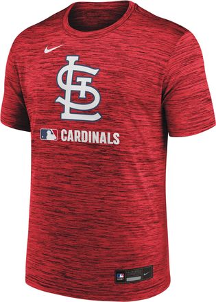 Nike St. Louis Cardinals Authentic Collection Velocity Nike Mens Dri-FIT MLB T-Shirt in Red | 02ER62QSCN-WLZ