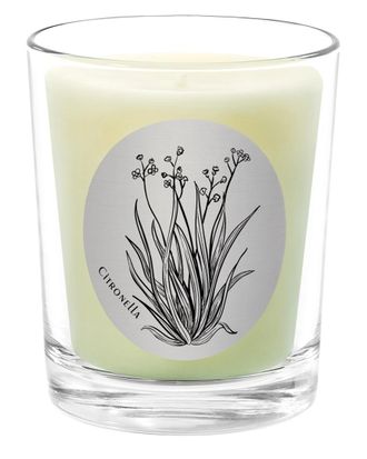 Qualitas Citonella 6.5Oz Beeswax Candle