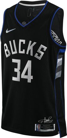 Nike x NBA Milwaukee Bucks Icon Edition Jerseys Giannis Antetokounmpo 34 DH8058-010