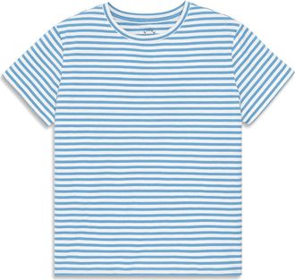 primary Adult Easy Crewneck Stripe Tee in Cornflower White Stripe at Nordstrom, Size X-Small