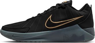 Nike Mens LeBron Witness Basketball Shoes in Black | HQ8034-003