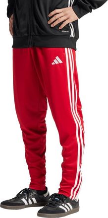 adidas Tiro 25 Essential Activewear Pants in Team Power Red 2/White at Nordstrom Rack, Size Xx-Large