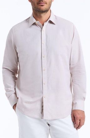 Robert Graham Avondale Cotton Button-Up Shirt in Sand at Nordstrom, Size Xxx-Large
