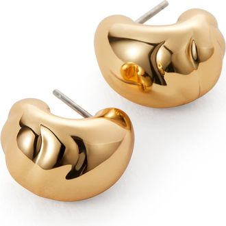 JENNY BIRD Nelle Small Hoop Earrings in High Polish Gold at Nordstrom