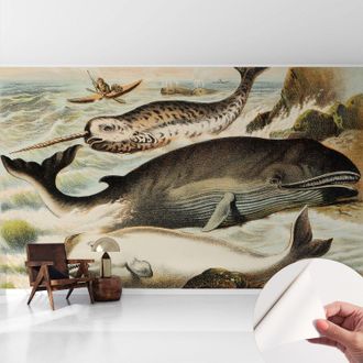 Tulup Fotomurale Adesivo Stickers - Murali Decorativo - Soggiorno Moderno - Effetto Realistico - Giganti Marini 416x254 Cm