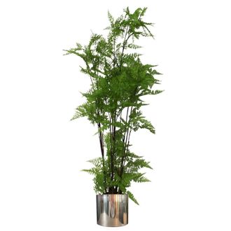 Leaf 150cm Artificial Natural Moss Base Fern Foliage Plant with Silver Metal Plater in Green