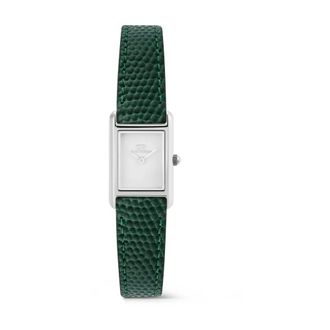 Daniel Wellington Donna, Accessori, Verde, Taglia unica, new