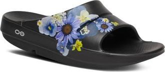 Oofos OOahh Limited Edition Slide in Black Blossom at Nordstrom, Size 11