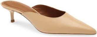 Staud Sebastian Kitten Heel Mule in Porcini at Nordstrom, Size 6.5Us