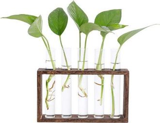 OEM Jarr&oacute;n De Tubo De Ensayo De Vidrio Con Soporte De Madera Para Plantas Hidrop&oacute;nicas, Jarr&oacute;n De Tubo Vintage