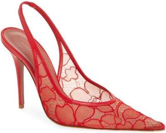 Amina Muaddi Anok Lace Pointed Toe Slingback Pump in Red at Nordstrom, Size 10.5Us