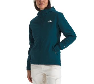 The North Face Shelbe Raschel Hoodie Womens Blue Fleece Lined DDR2597