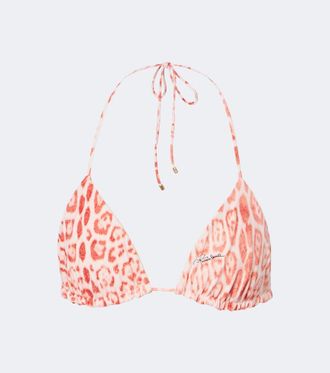Roberto Cavalli Leopard-print triangle bikini top