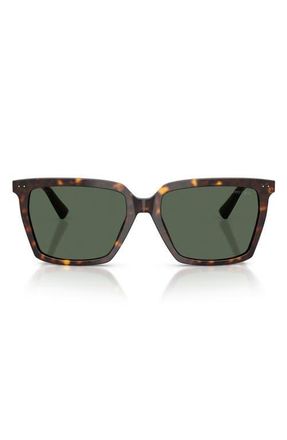 Jimmy Choo London 55mm Square Sunglasses in Havana /Dark Green at Nordstrom