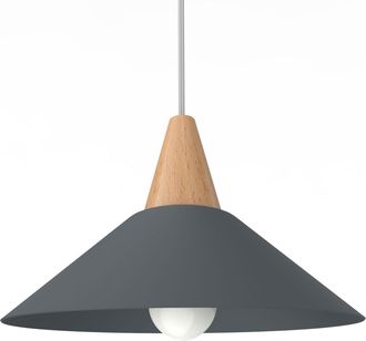 Lumicom Funnel L&aacute;mpara De Techo 25 Monocolor