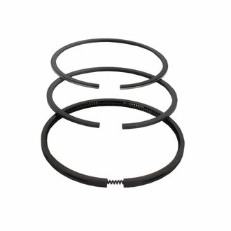 OEM Segmento Briggs Et Stratton 495854