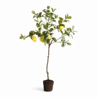 Napa Home & Garden Faux Green Plastic Lemon Tree Drop-In 37 at Nordstrom
